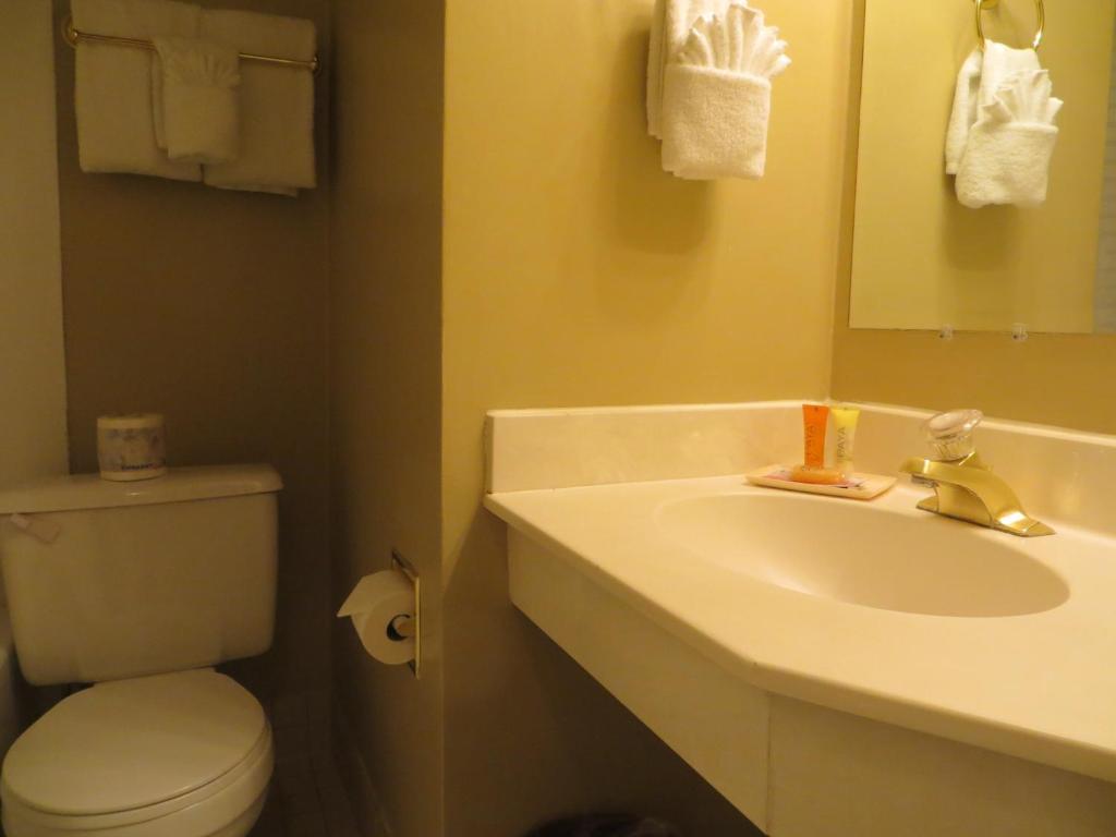 Athabasca Hotel Jasper Chambre photo